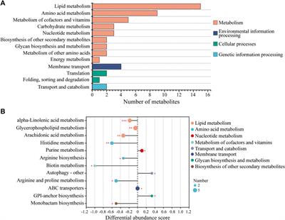 Untargeted metabolomics reveals the mechanism of amantadine toxicity on Laminaria japonica